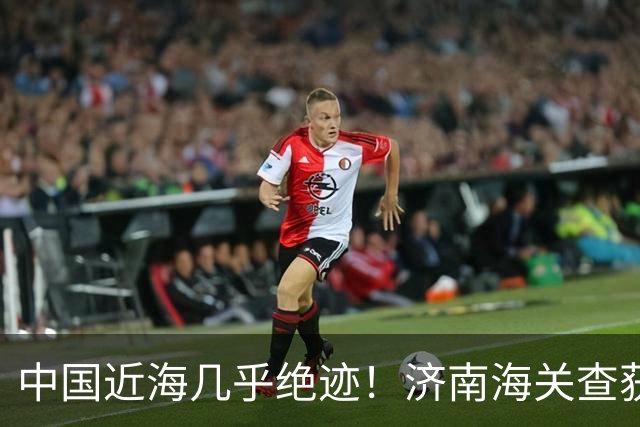 中国近海几乎绝迹！济南海关查获17只手镯，竟是由极危'国宝'制成