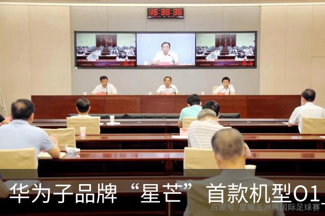华为子品牌“星芒”首款机型O1 Pro的配置：6.39英寸LTPS阔直板屏