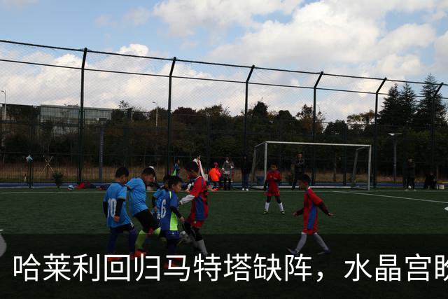哈莱利回归马特塔缺阵，水晶宫盼反超森林再战里昂