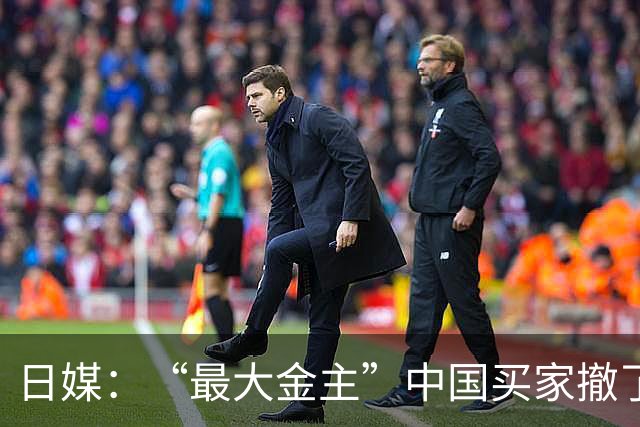 日媒：“最大金主”中国买家撤了？东京塔楼降价5000万，真相到底是什么？