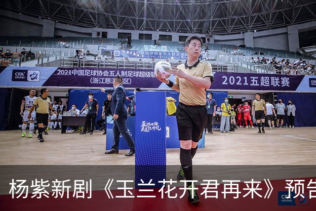 杨紫新剧《玉兰花开君再来》预告，方言环境故事代入感好强