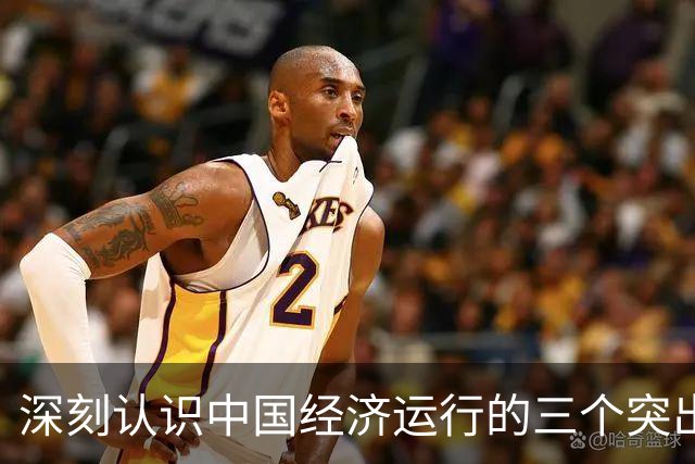 深刻认识中国经济运行的三个突出特点