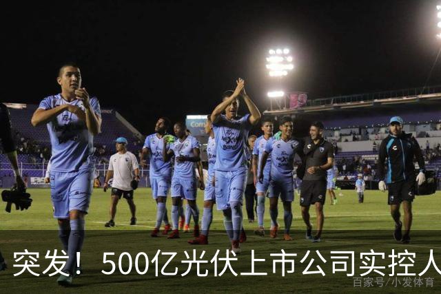 突发！500亿光伏上市公司实控人被批捕