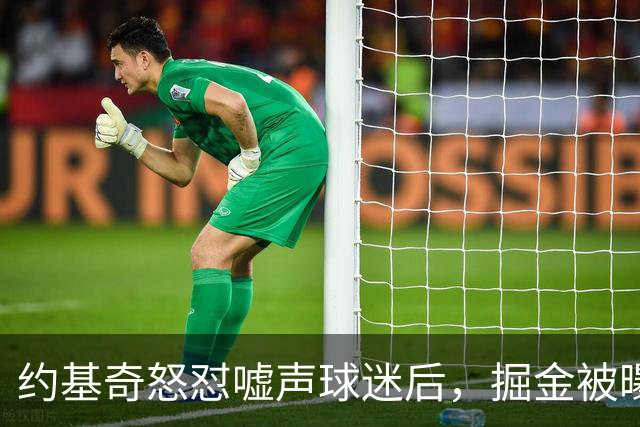 约基奇怒怼嘘声球迷后，掘金被曝盯上1000万后卫