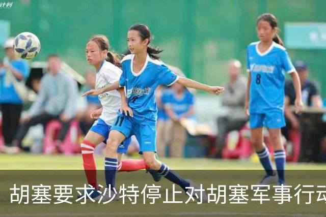 胡塞要求沙特停止对胡塞军事行动