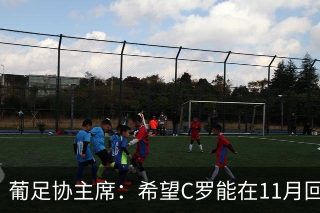 葡足协主席：希望C罗能在11月回归国家队，所有人都期待再次团聚