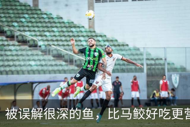 被误解很深的鱼，比马鲛好吃更营养，鱼肉似“千层糕”，我国独有