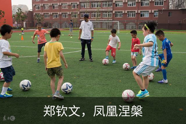 郑钦文，凤凰涅槃